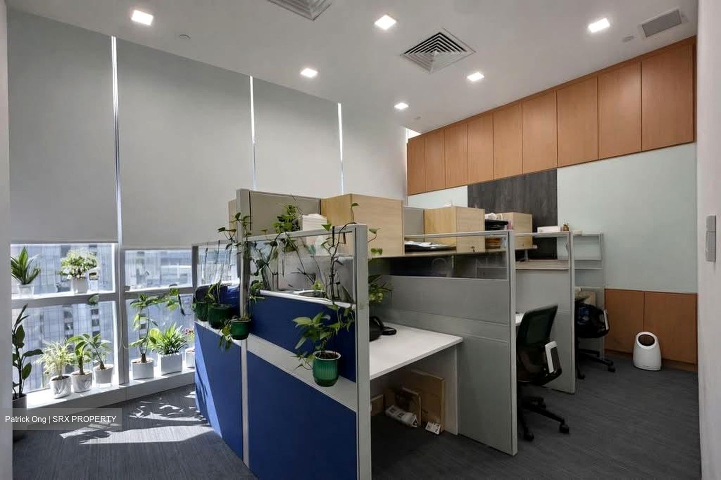 Sbf Center (D1), Office #584856761